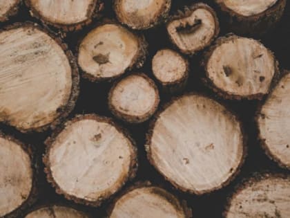 В России через год начнут строить деревянные пятиэтажки