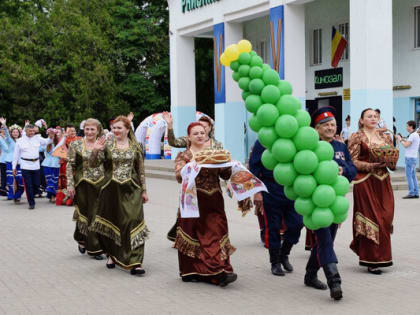 Сегодня отмечается День огурца
