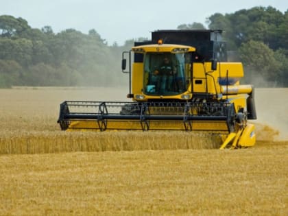 Потери аграриев Ростовской области составили 5 миллиардов рублей