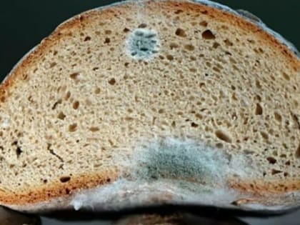 Опасность на столе: врачи назвали еще один возможный источник заболевания онкологией