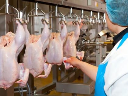 Топ-менеджер 