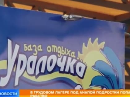 Рен-ТВ: в Краснодарском крае подростки попали в летнем лагере в "трудовое рабство"