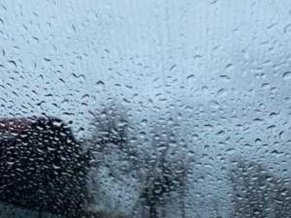 В Новочеркасске на новой неделе ожидаются дожди