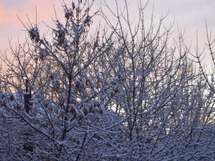 Сильный мороз отступает от Шахт
