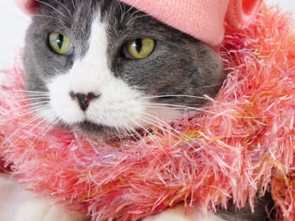 В Ростовской области сохраняется похолодание до +2°C