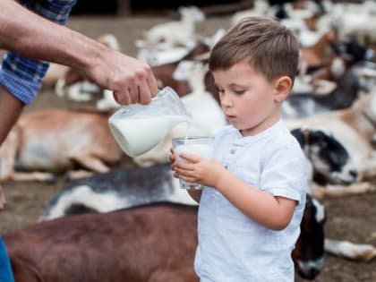 Производство российского молока выросло в январе-марте 2023 года