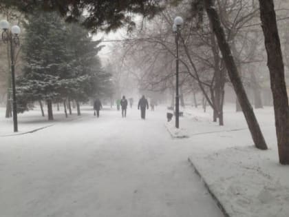 Синоптики предупредили о снегопадах и сильном морозе в Ростовской области