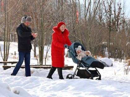 Росстат раскрыл структуру доходов беднейших и богатейших россиян