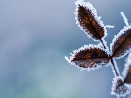 Морозы продержатся в Ростове еще несколько дней