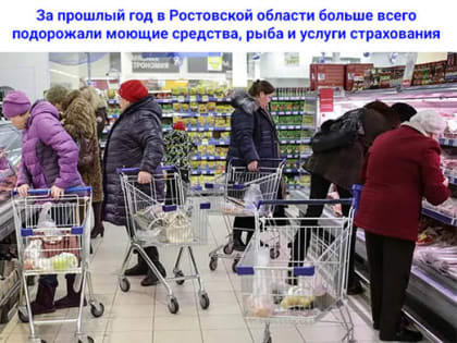 За прошлый год в Ростовской области больше всего подорожали моющие средства, рыба и услуги страхования
