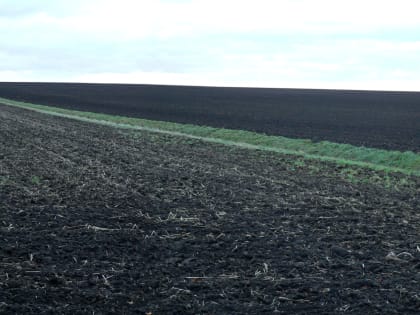 Экономист рассказал, почему чернозём в Краснодарском крае такой дорогой