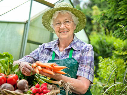 В Ростовской области предложили узаконить торговлю у дома