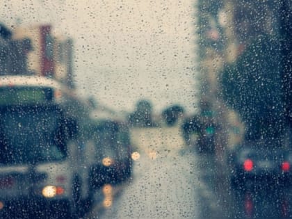 В Ростовской области на длинные выходные прогнозируют дожди