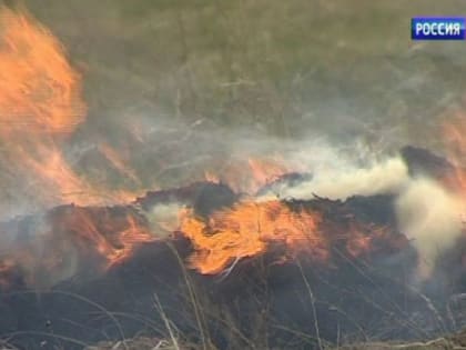 В Песчанокопском районе предприятие оштрафовали за выжигание сухой растительности