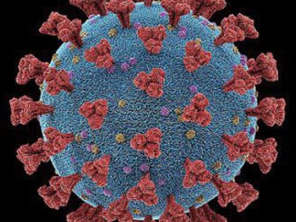 О симптомах нового варианта коронавируса рассказали жителям Ростовской области