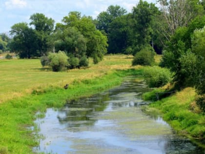 В Ростовской области на расчистку рек выделили 29,7 млн рублей