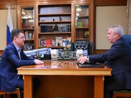 Губернатор и вице-премьер обсудили вопросы газификации Ростовской области