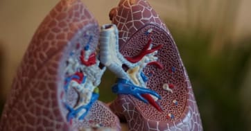 Canada Pharmacy Delivery