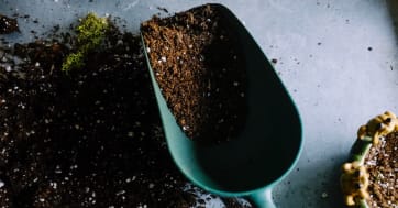 True Canada Pharmacy