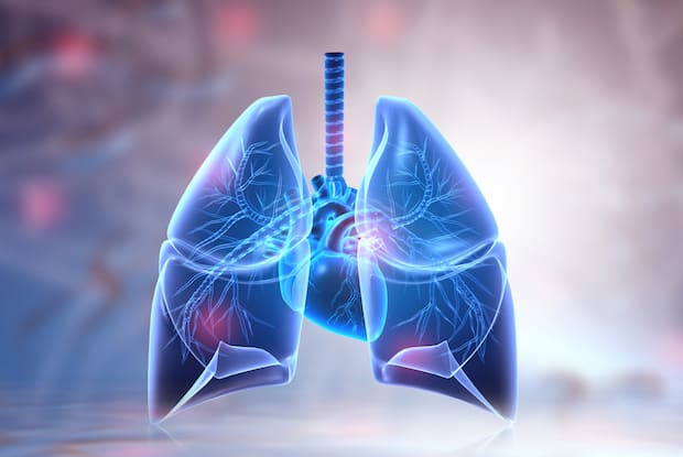 an animation of the lungs