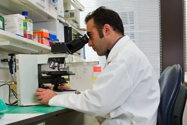 a doctor examining lab tests