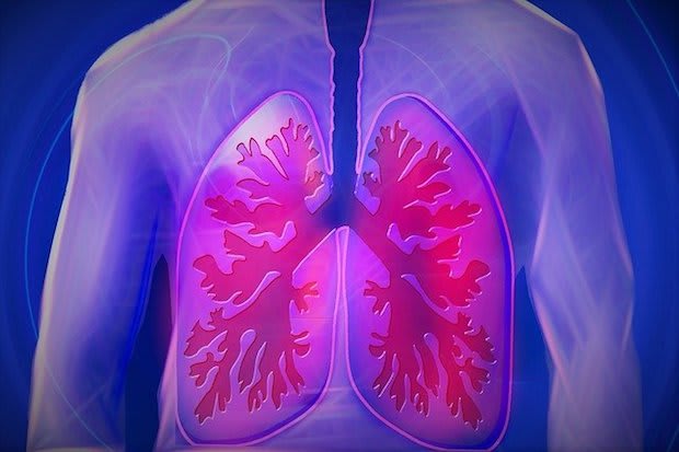 an animation of lungs in the body