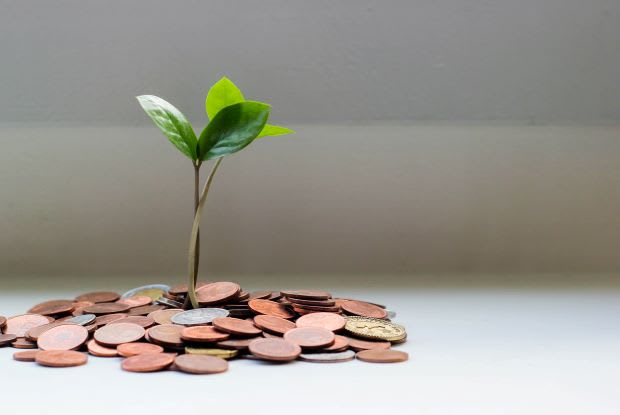 a tiny plant growing out of pennies