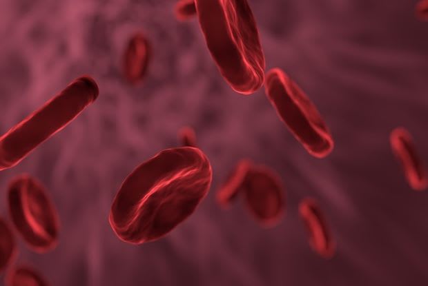 an animation of blood platelets in the bloodstream