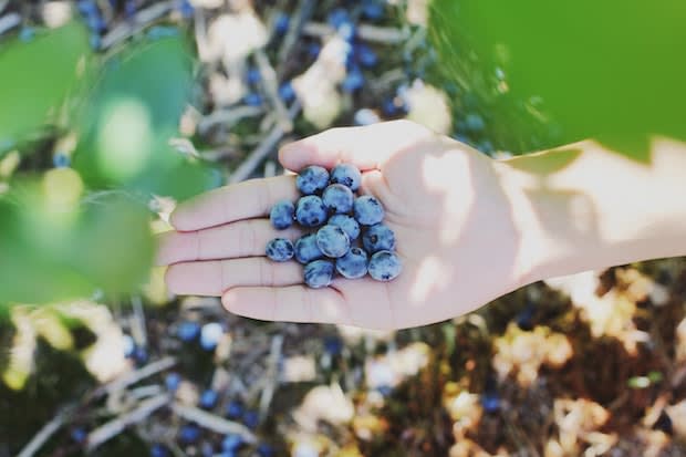 a person holding blueberries in their hand