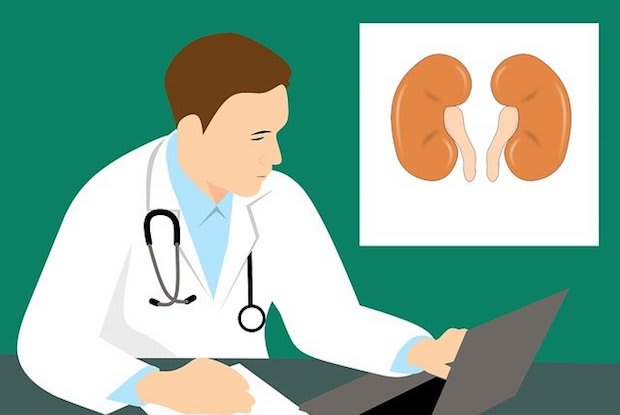 an animation of a doctor and an animated pair of kidneys