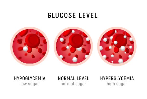 a chart displaying blood sugar levels