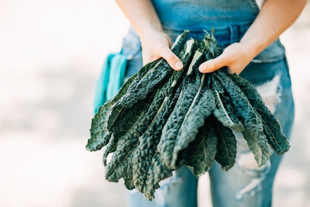 person holding head of dinosaur kale