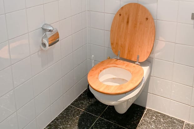 a toilet seat