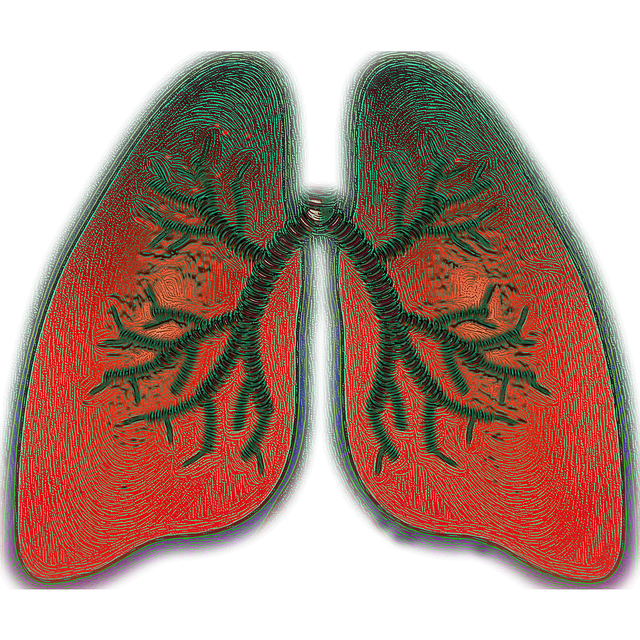 an animation of the lungs