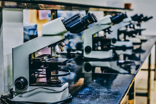 a row of microscopes in a lab