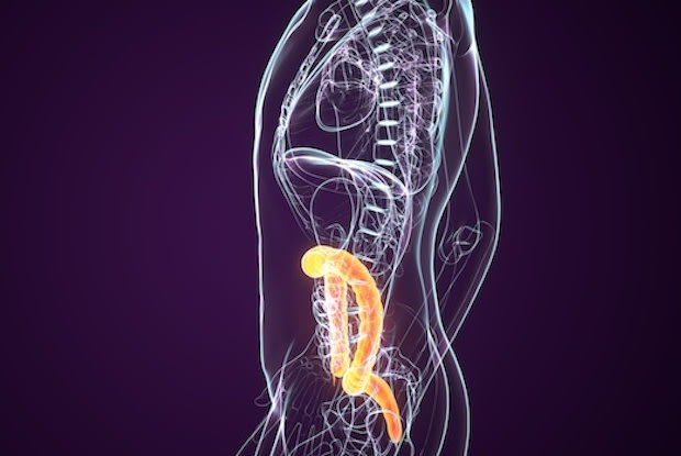 a side view of a person’s body with the colon highlighted