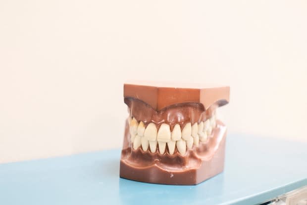 teeth model