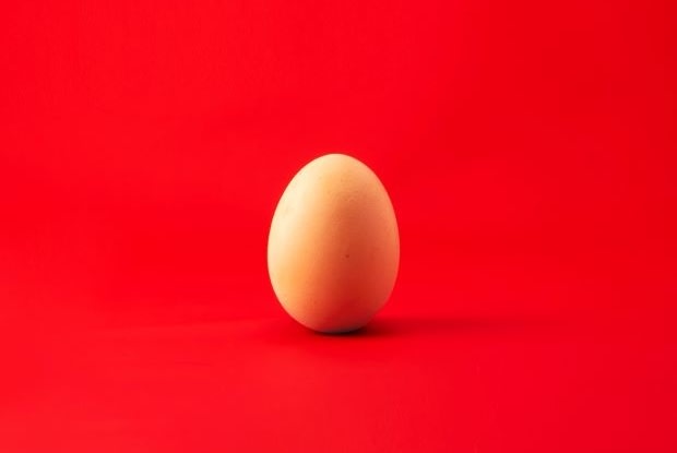 an egg on a red background