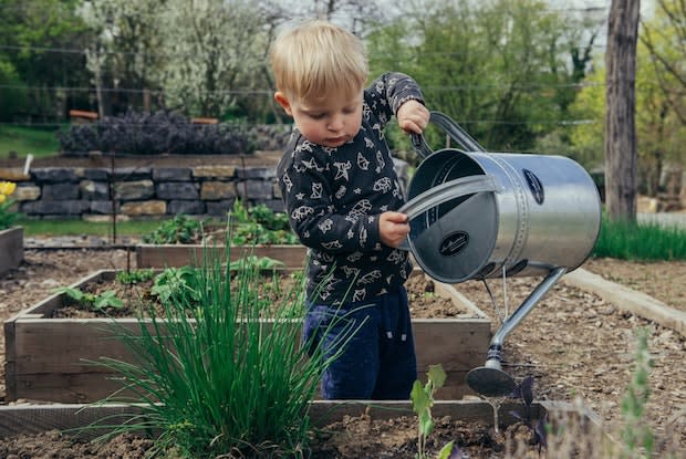 a toddler watering plants