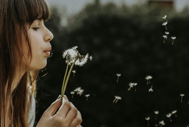 a woman holding a dandelion