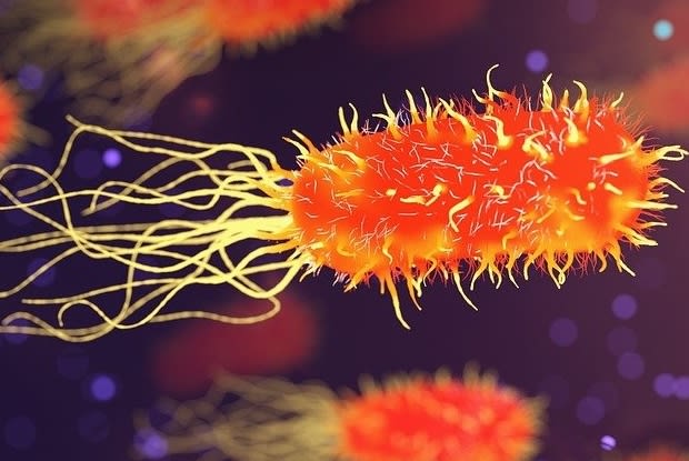 an animation of a bacteria