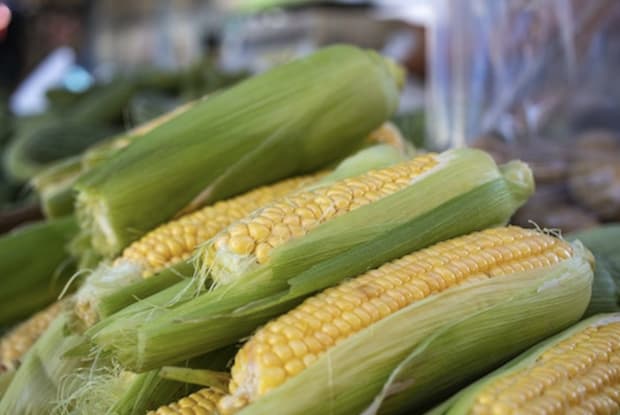 fresh corn stacked on top of each other