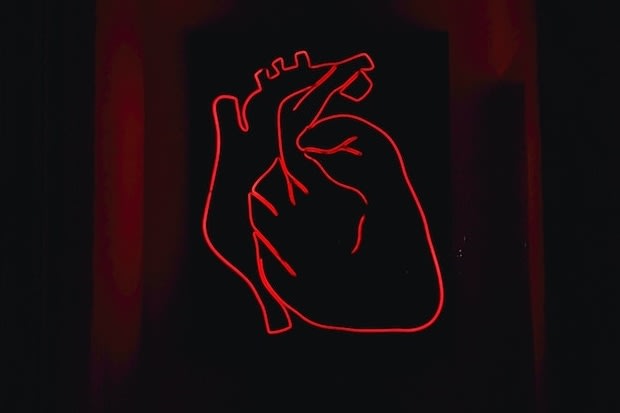 a neon sign in the shape of an anatomical heart