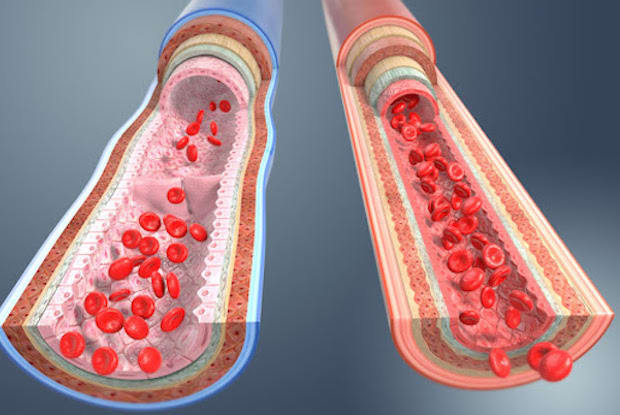 an animation showing how blood platelets travel through the body