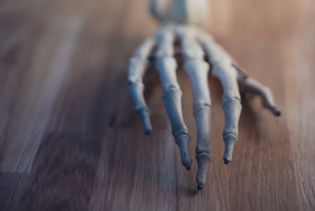 a model of the bones in a hand