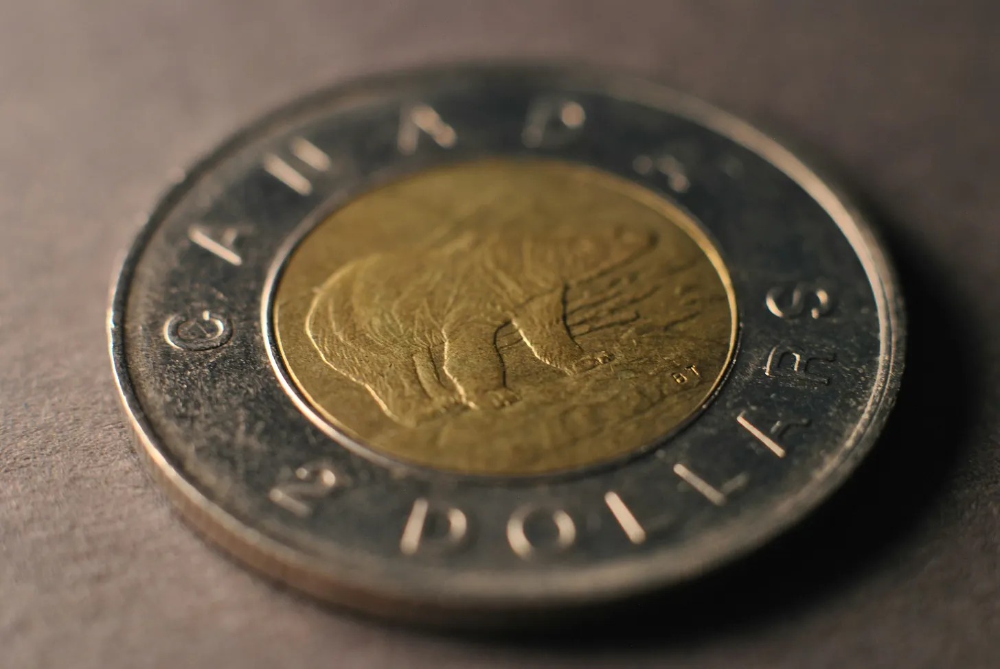 Canadian $2 Coin — The Iconic "Toonie"