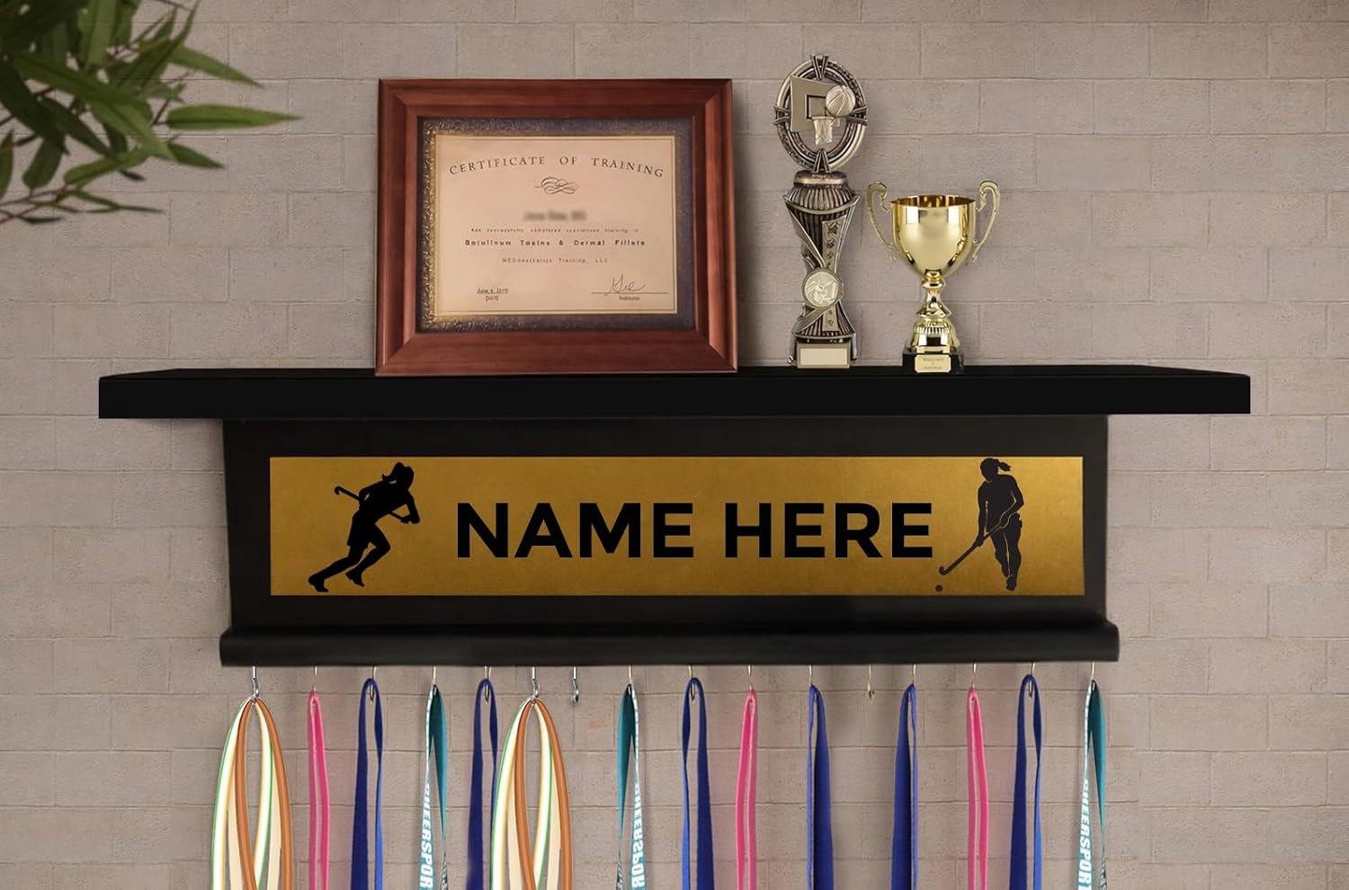 Customized Medal Holder