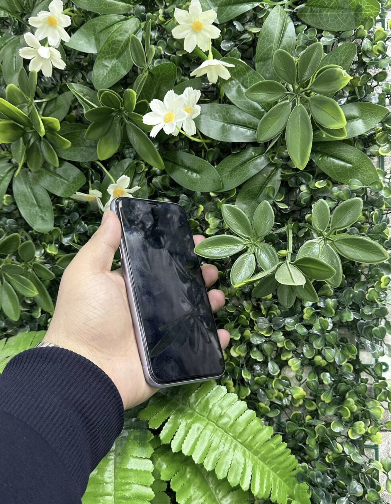IPhone 11, 64 GB, Çəhrayı, Face ID - Şəkil 2