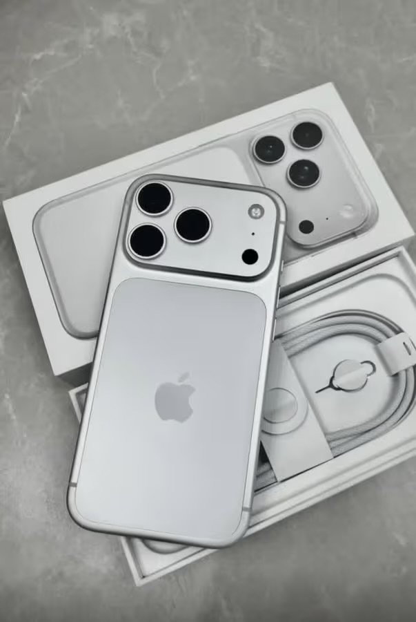 Apple iPhone 17 Pro Max Silver 256 GB/12 GB