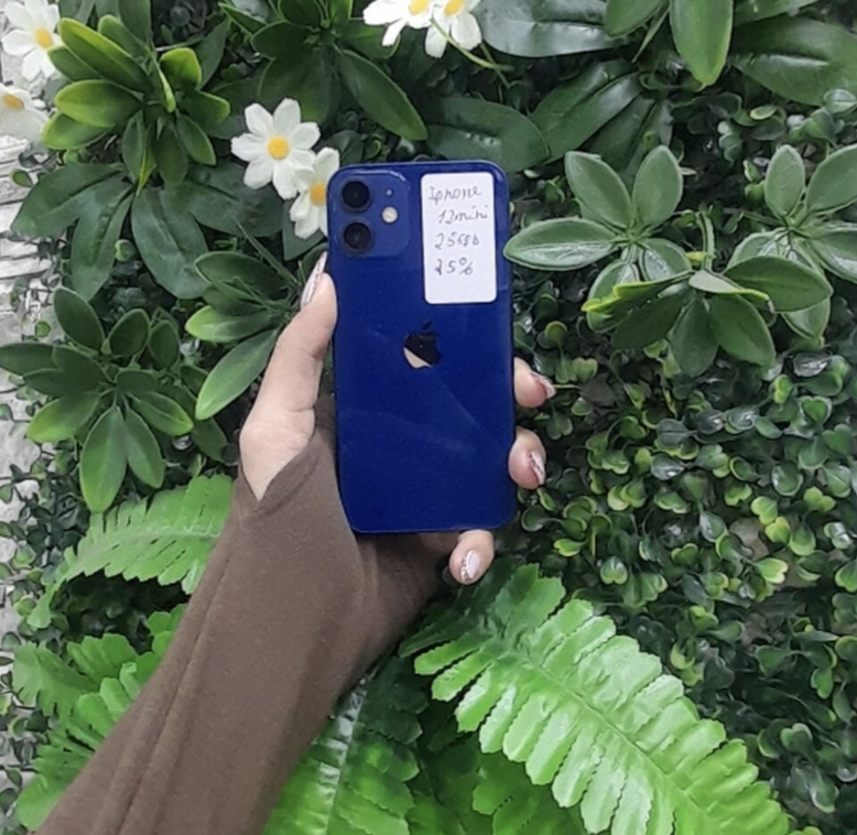 IPhone 12 mini, 256 GB, Mavi, Face ID
